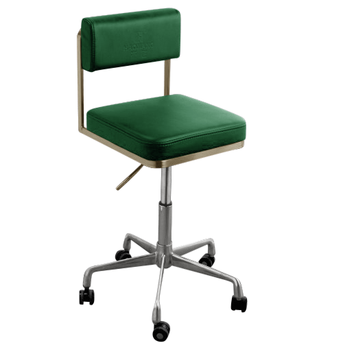 Green & Gold Salon Stool with Backrest by SEC