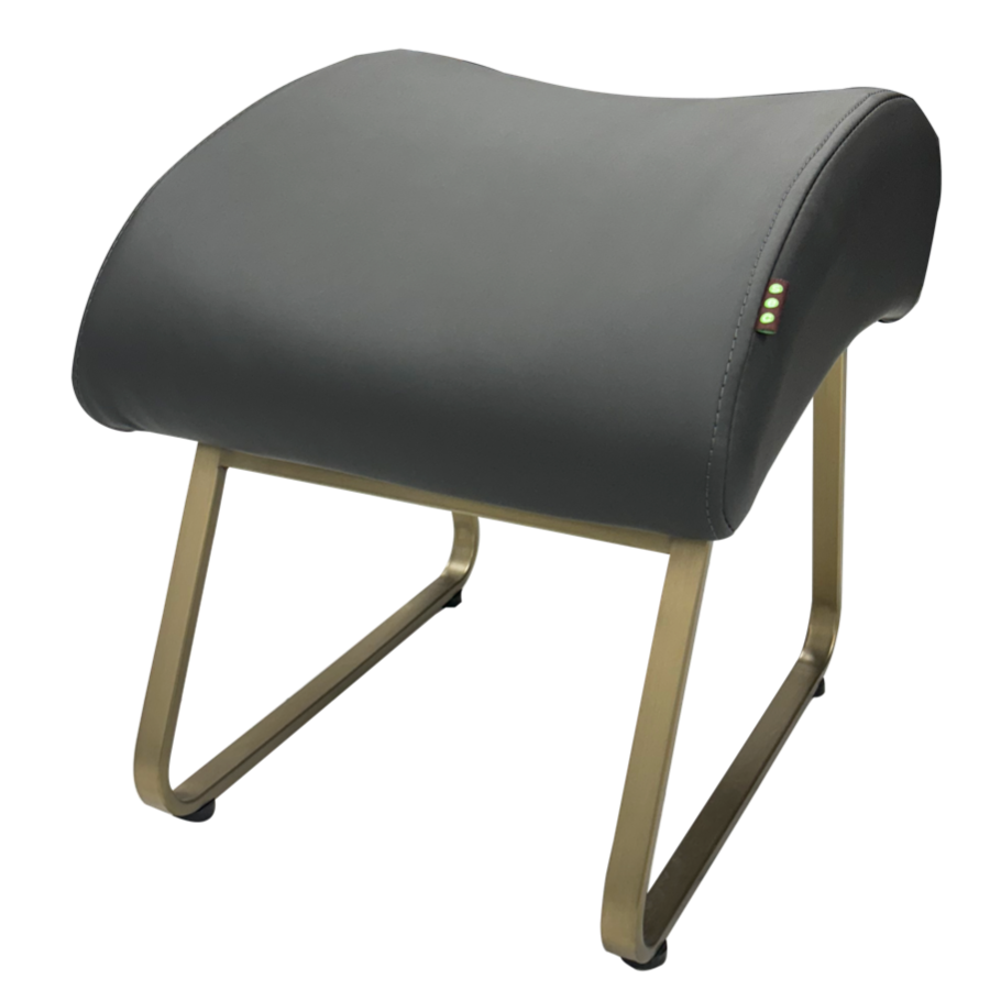 Charcoal & Champagne Gold Leg Rest by SEC