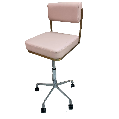 Pink & Gold Salon Stool with Backrest by SEC