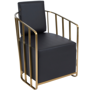 Black & Gold  Caged Waiting Chair by SEC