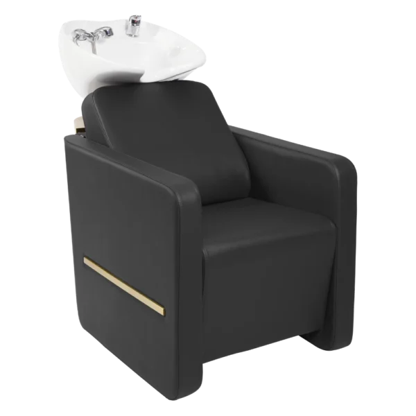 The Daisi Salon Backwash Unit - Black & Gold