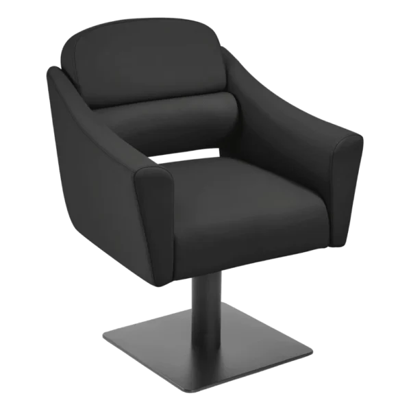 The Ferni Salon Styling Chair - Midnight Black