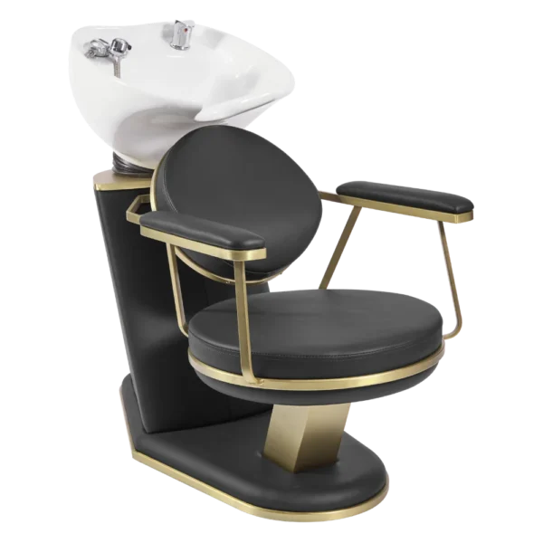 The Peoni Salon Backwash Unit - Black & Gold