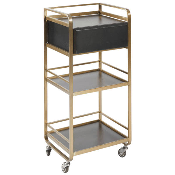 The Halli Beauty Trolley - Black & Gold by SEC