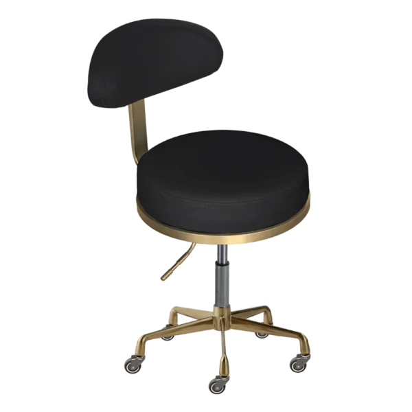 The Karli Salon Stool with Backrest - Black & Gold