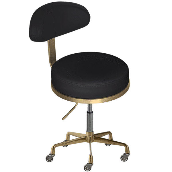 The Karli Salon Stool with Backrest - Black & Gold by SEC