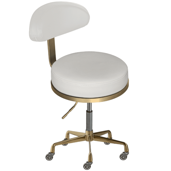The Karli Salon Stool with Backrest - White & Gold by SEC