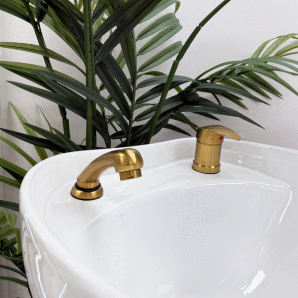 Gold Backwash Fittings by SEC