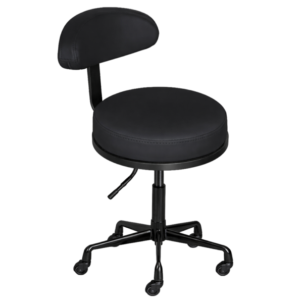 The Karli Salon Stool with Backrest - Midnight Black by SEC