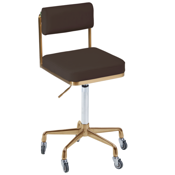 The Lotti Salon Stool with Backrest - Chocolate Brown & Gold by SEC