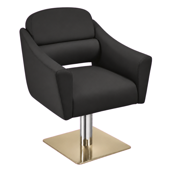 The Ferni Salon Styling Chair - Black & Gold